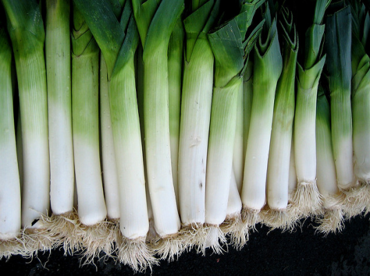 vancouver-mobile-training-nutrition-leeks